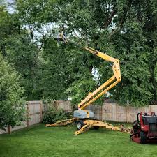 Best Sod Installation  in Moxee, WA