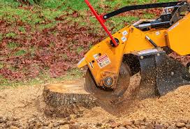 Best Lawn Watering Services  in Moxee, WA