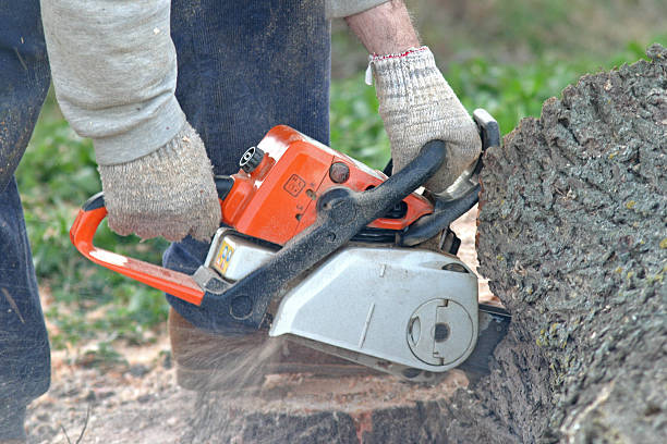 Best Lawn Fertilization  in Moxee, WA