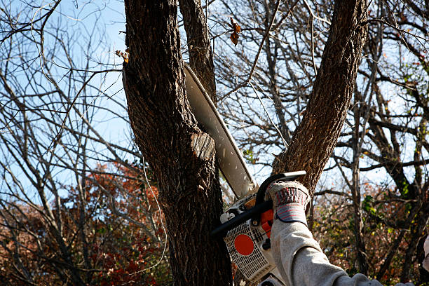 Mulching Services in Moxee, WA